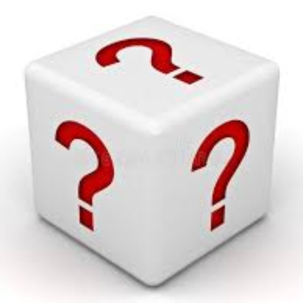 Purchase the Mystery Item & Get to Purchase Any Item $100 or Less for $3!